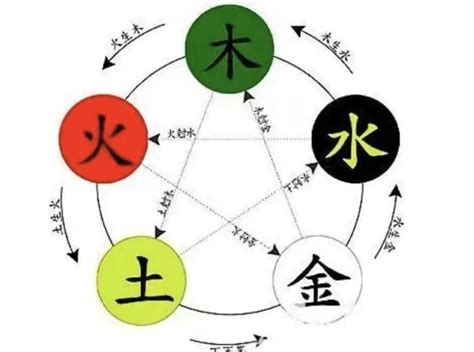 硨磲五行|沣字的五行属性